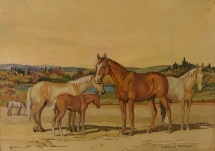 EM-099