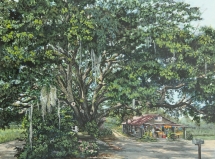 MD 03, Covering Over Crawfords, Acrylic, 18 x 24 inches - $740 MD 03, Covering Over Crawfords, Acrylic, 18 x 24 inches