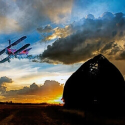 Anderson's Wingwalker, Marilyn Grubb, $260 Anderson's Wingwalker, Marilyn Grubb, $260