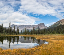 Fall in the Alpine, Colin Ruxton Fall in the Alpine, Colin Ruxton - SOLD