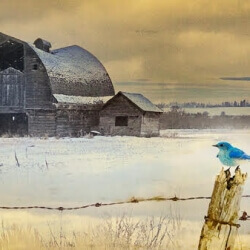 Fimrite's Spring Bluebird, Marilyn Grubb, $260 Fimrite's Spring Bluebird, Marilyn Grubb, $260