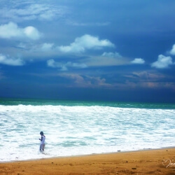 Ocean Dream, Melanie Alde, Aluminum Metal Panel, 12 x 8, $150 Ocean Dream, Melanie Alde, Aluminum Metal Panel, 12 x 8, $150
