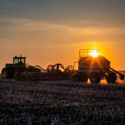 Seeding Into The Sunset, Gail Jones, 10 x 15, $250 Seeding Into The Sunset, Gail Jones, 10 x 15, $250