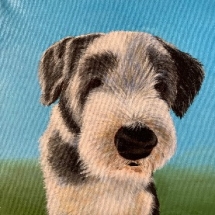 CM 03, Pepper, Acrylic, 12 x 12 inches, NFS CM 03, Pepper, Acrylic, 12 x 12 inches, NFS