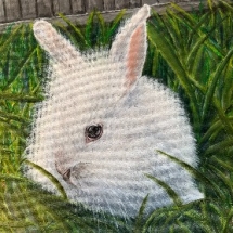 CM 04, Apollo, Acrylic, 9 x 12, Inches, NFS CM 04, Apollo, Acrylic, 9 x 12, Inches, NFS