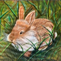 CM 05, Snowball, Acrylic, 9 x 12, NFS CM 05, Snowball, Acrylic, 9 x 12, NFS
