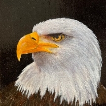 CM 08, Eagle Portrait 5 x 5 inches, $125 CM 08, Eagle Portrait 5 x 5 inches, $125