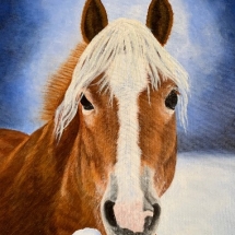 CM 11, Hazelm Acrylic, 20 x 16, $225 CM 11, Hazelm Acrylic, 20 x 16, $225
