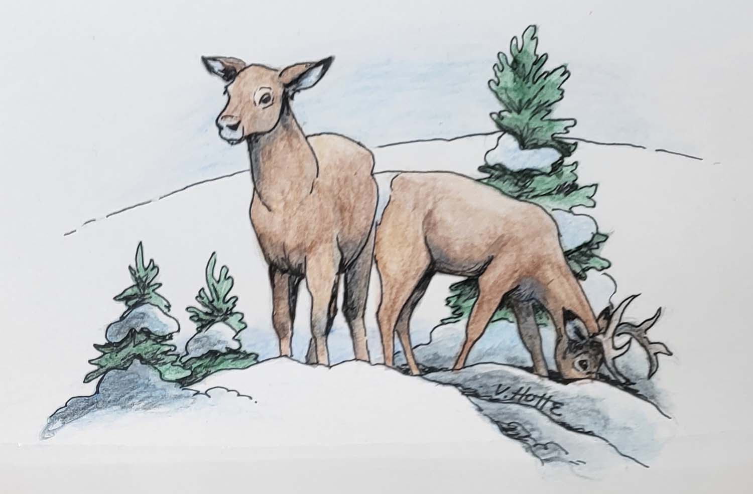 VH21-04, Original Handmade Card, Vicki Hotte, W_C pencil on paper, 4”x5.5”, $15